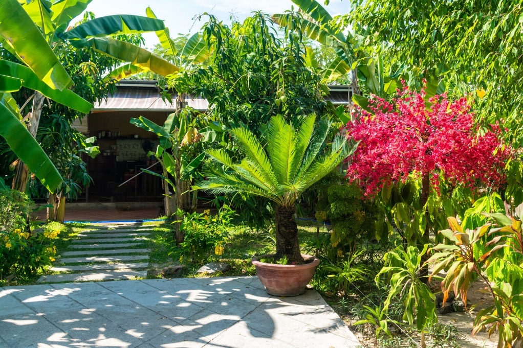 tropical landscaping