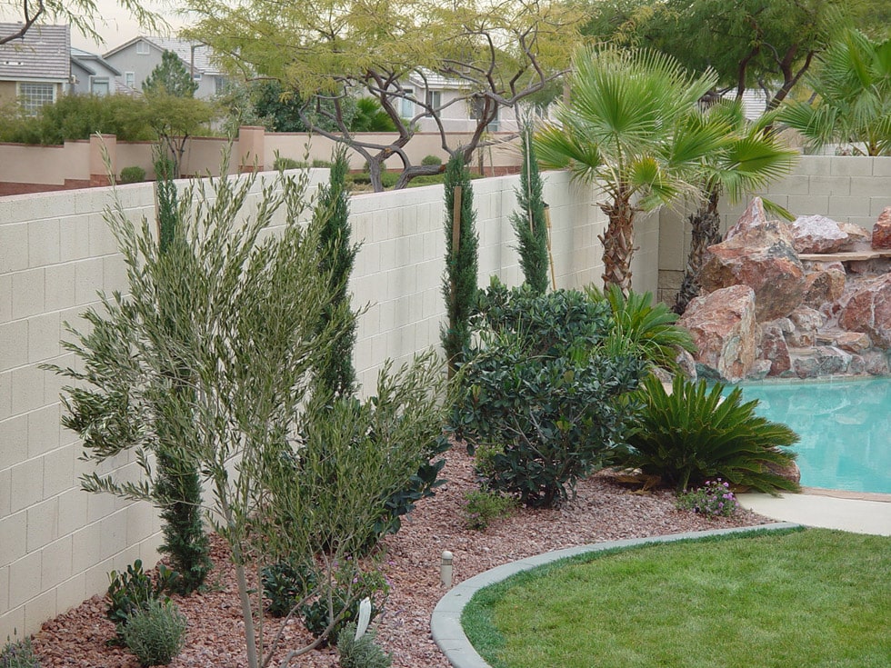 Landscape Pest Control And Plant Care, Landscaping Services Las Vegas Nv