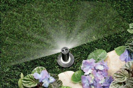 Landscape Maintenance Conserve Water And Sustain A Green Lawn