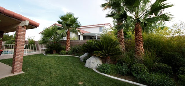 Las Vegas lawn and sprinkler system