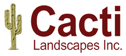 Cacti Landscapes Las Vegas