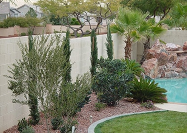 Landscaping Maintenance Services In Las, Landscape Maintenance Las Vegas Nv