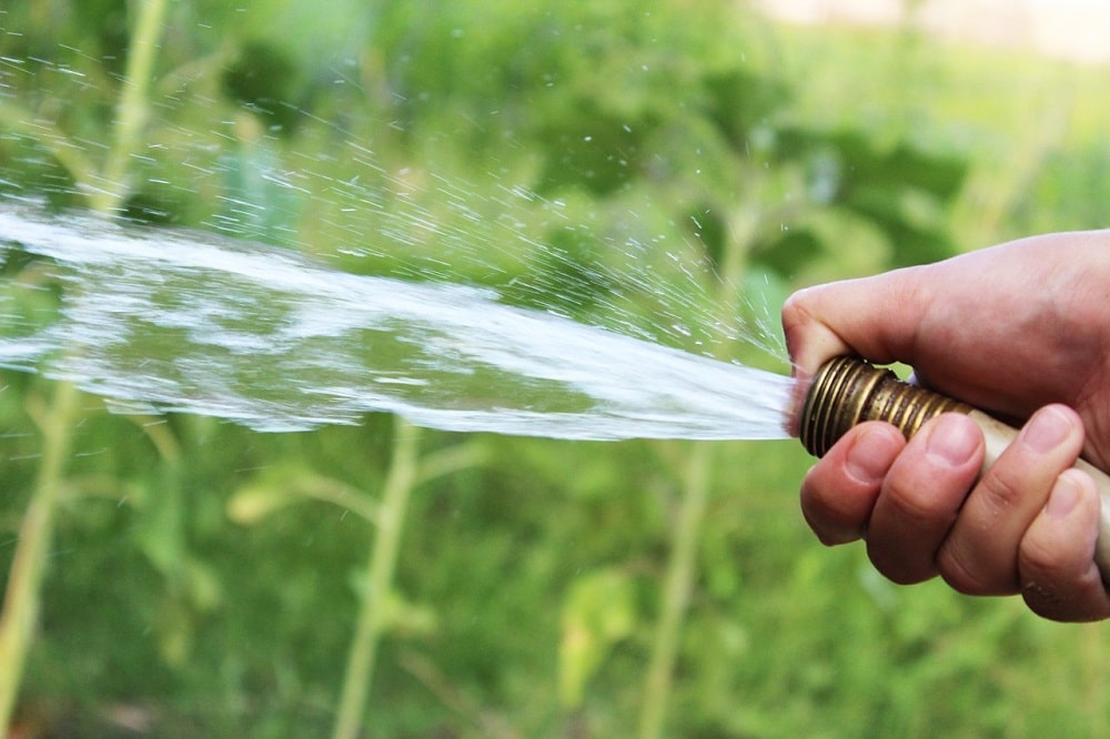 watering your backyard