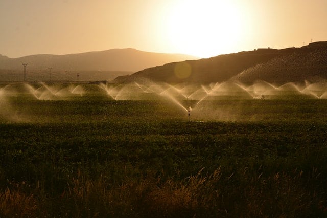 Irrigation System check