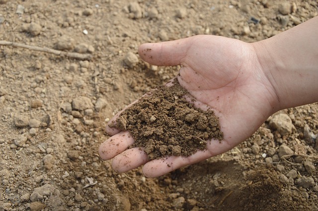How to Improve the Quality of Your Soil