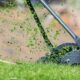 is lawn care service worth it