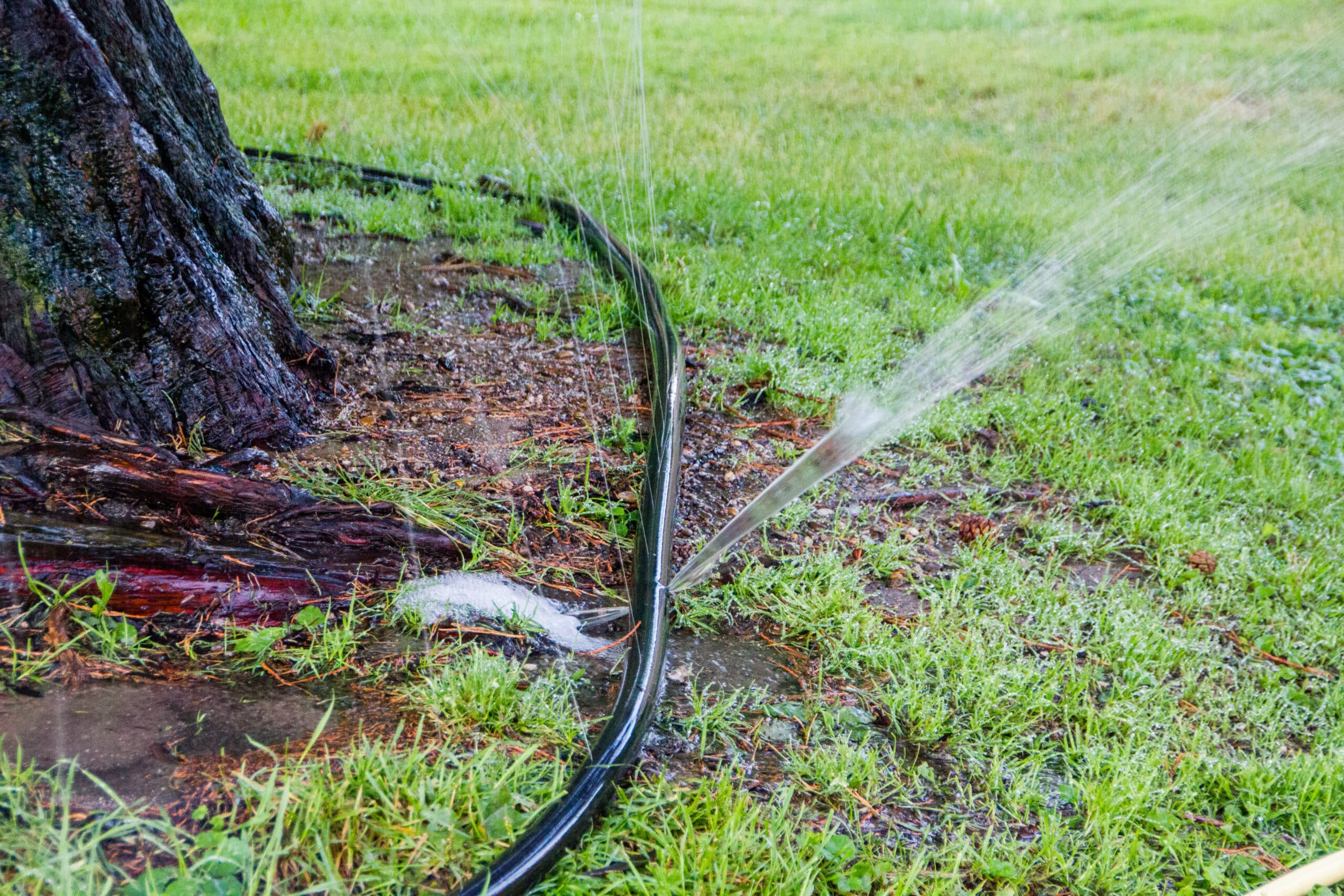 Irrigation Repair in Las Vegas, NV - Cacti Landscapes