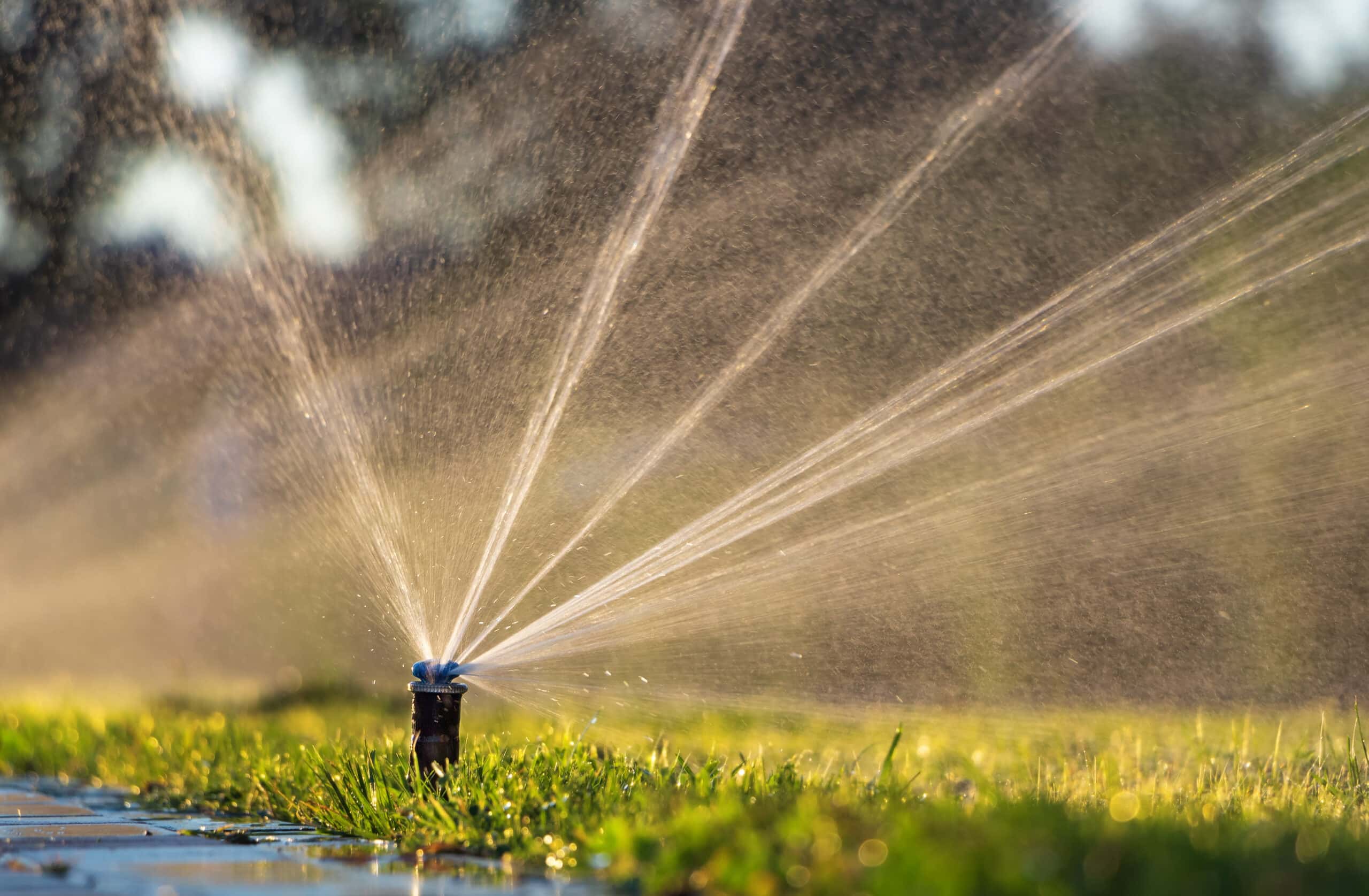 sprinkler system repair