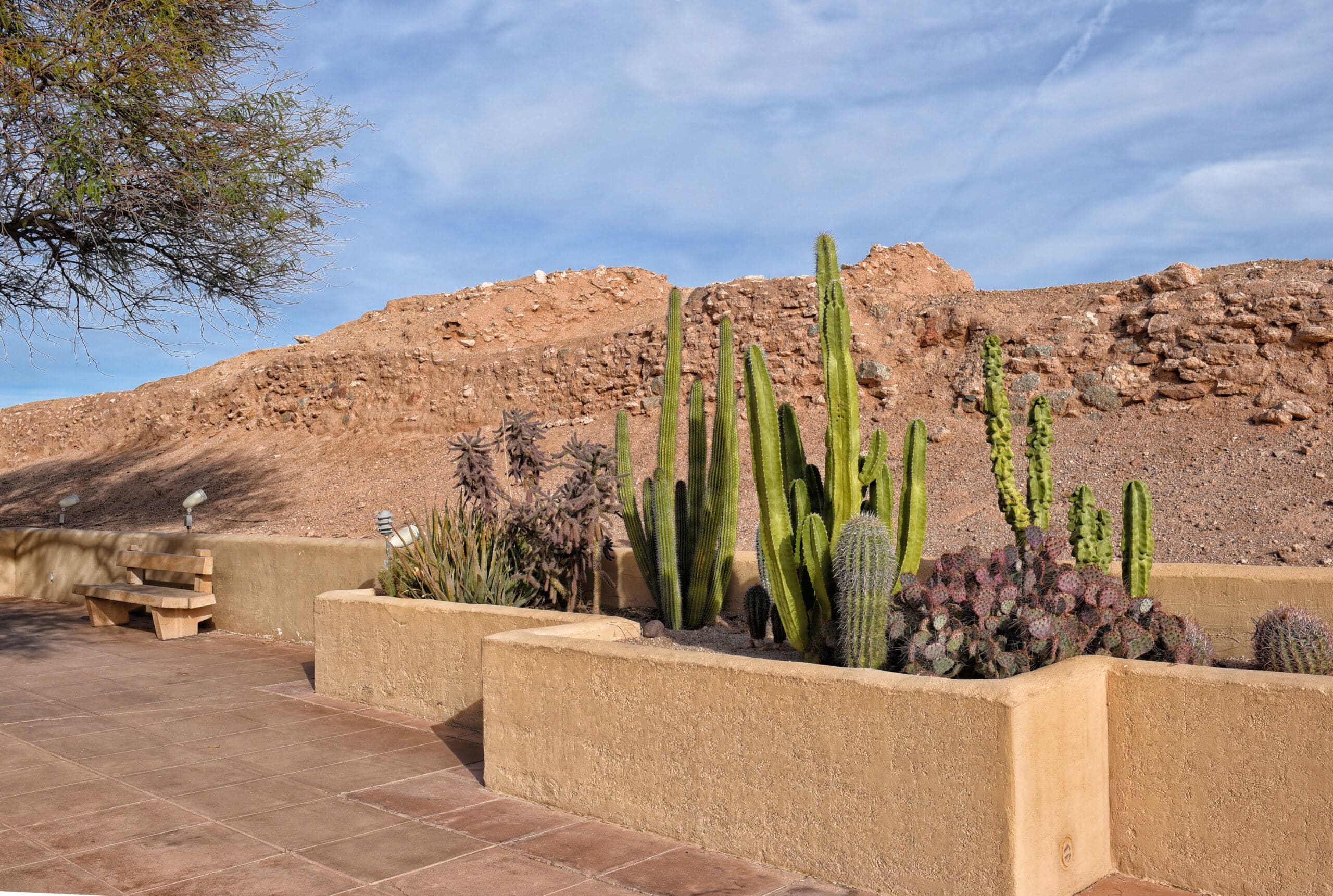 A xeriscape cactus garden, a style of landscape design requiring