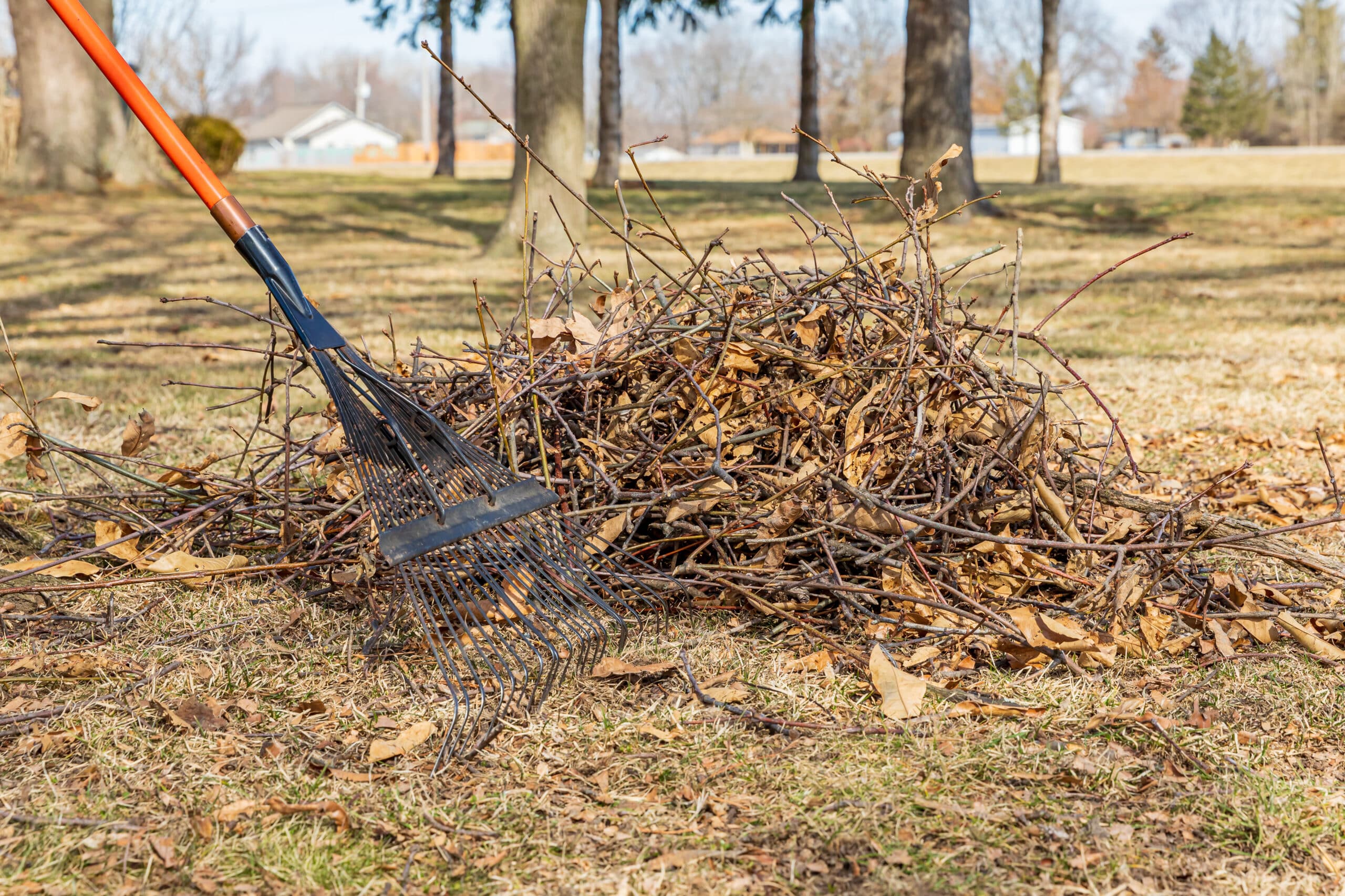Tree branches and leaf rake in yard. Lawncare, lawn cleaning and