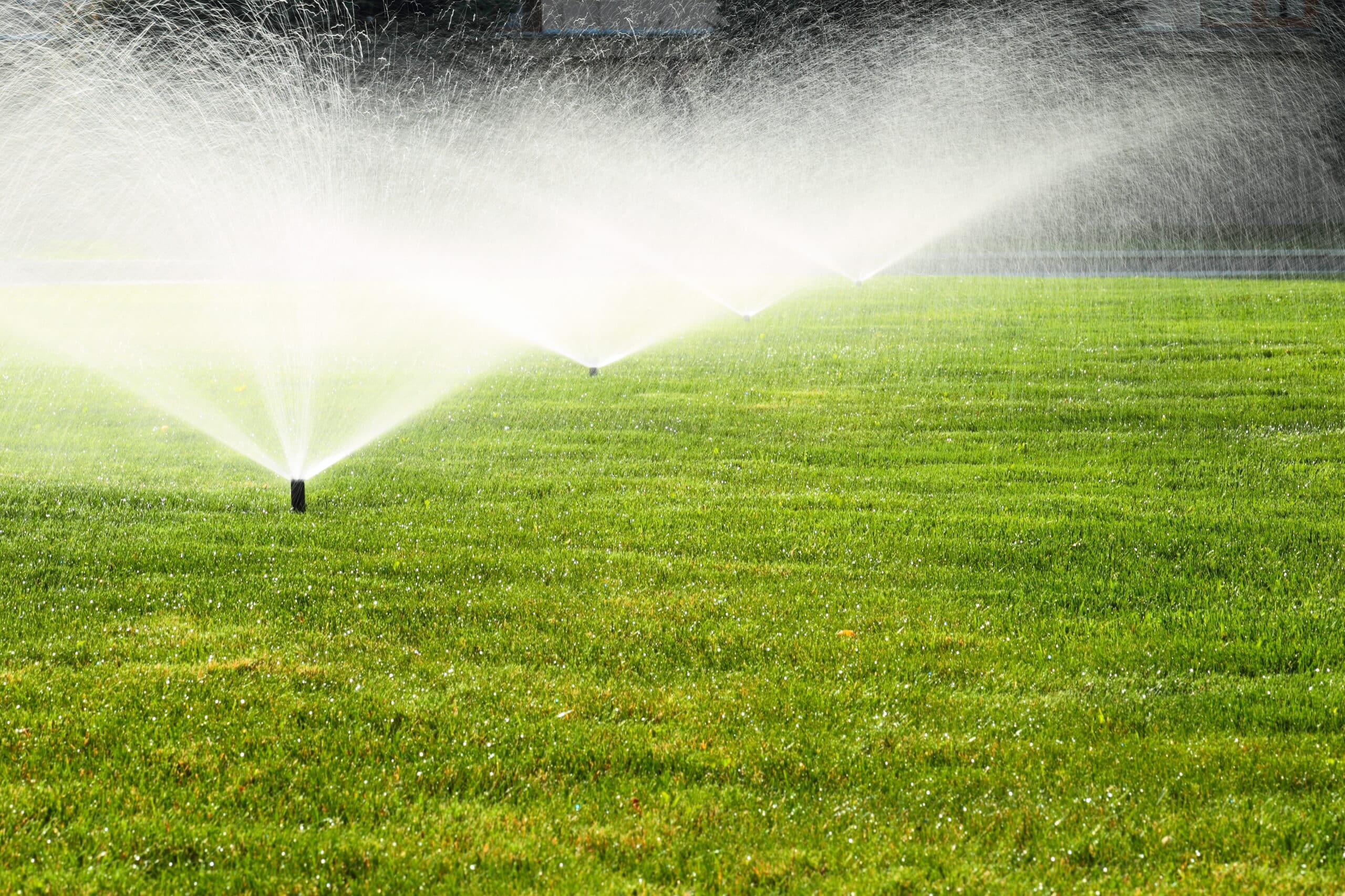 garden sprinkler on the green lawn