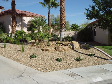 Desert Landscaping Services in Las Vegas - Las Vegas Landscaping