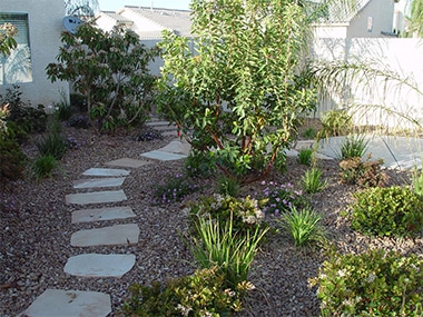 backyard-shrubs-greenery-resized