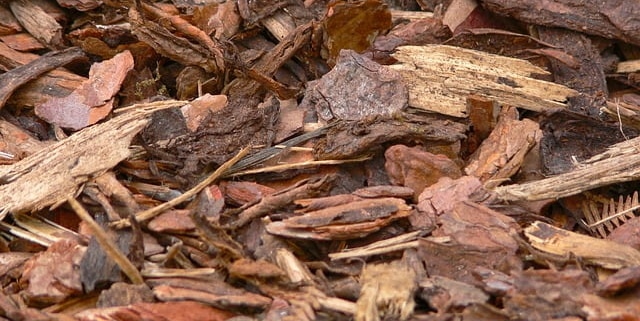 bark-mulch