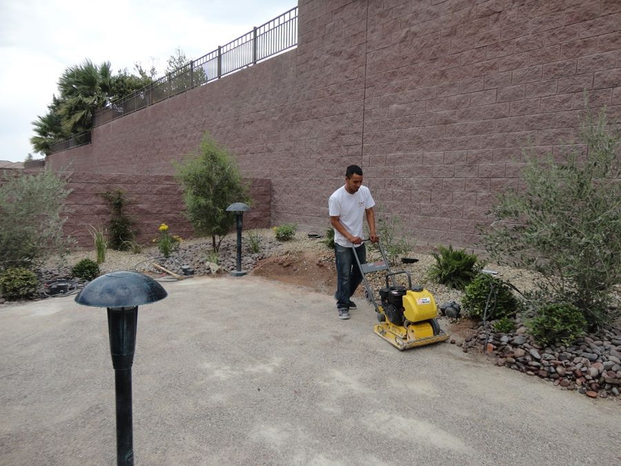 cacti bad landscapers