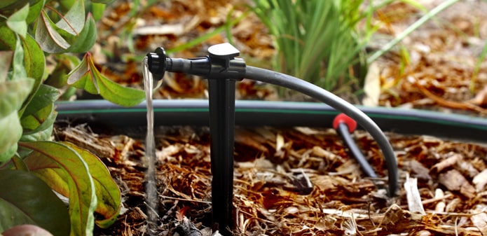 drip-irrigation