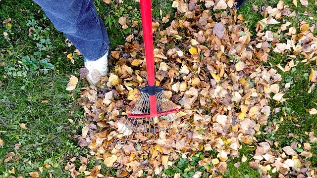 raking