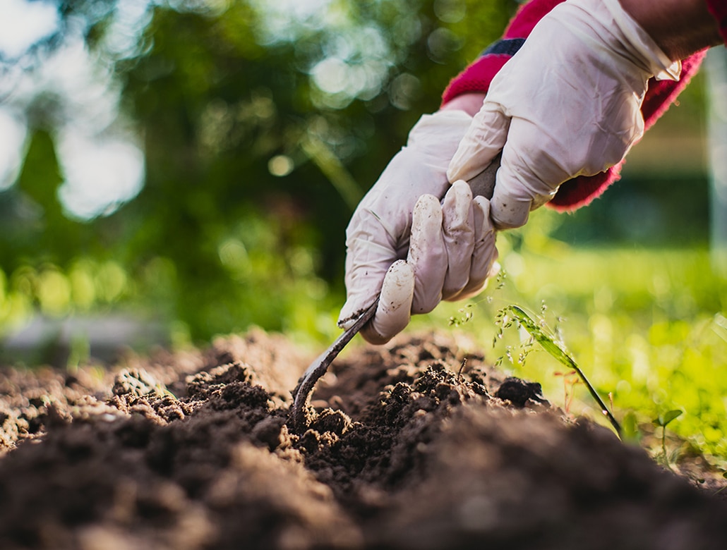 weed control