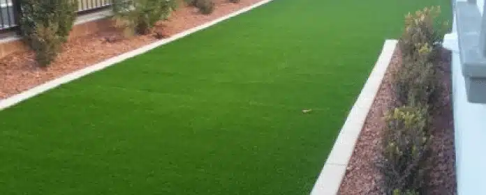 Artificial turf vs natural grass
