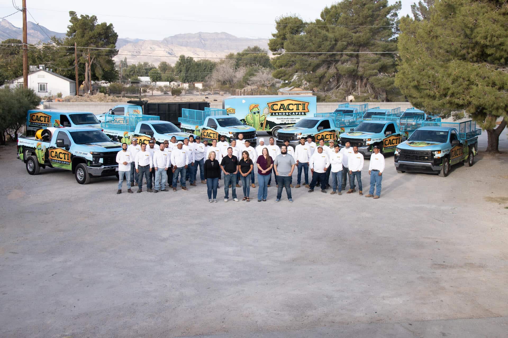 Cacti Landscapes Las Vegas photo 5
