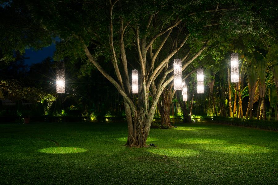 landscape lights