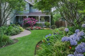 landscaping around trees