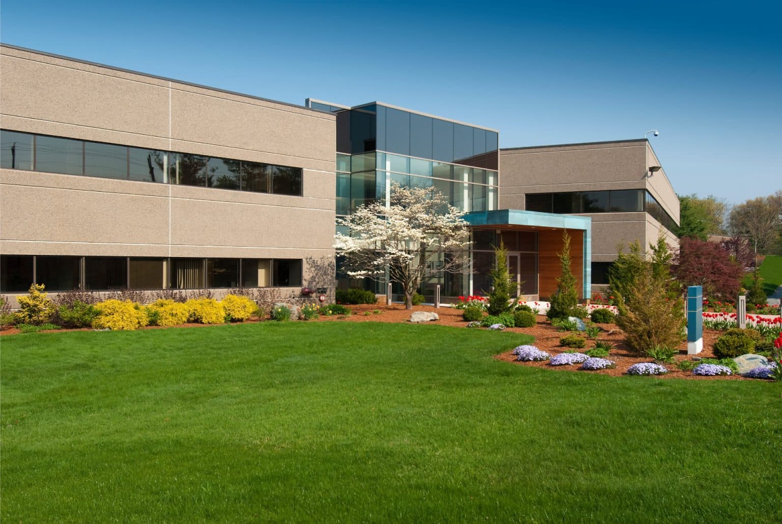 Commercial Landscaping Ideas: Enhance Your Business Space
