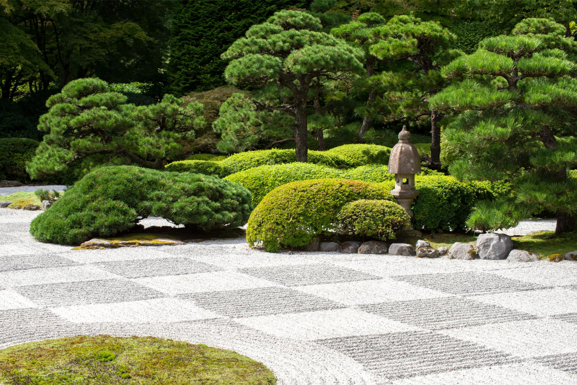sensory garden