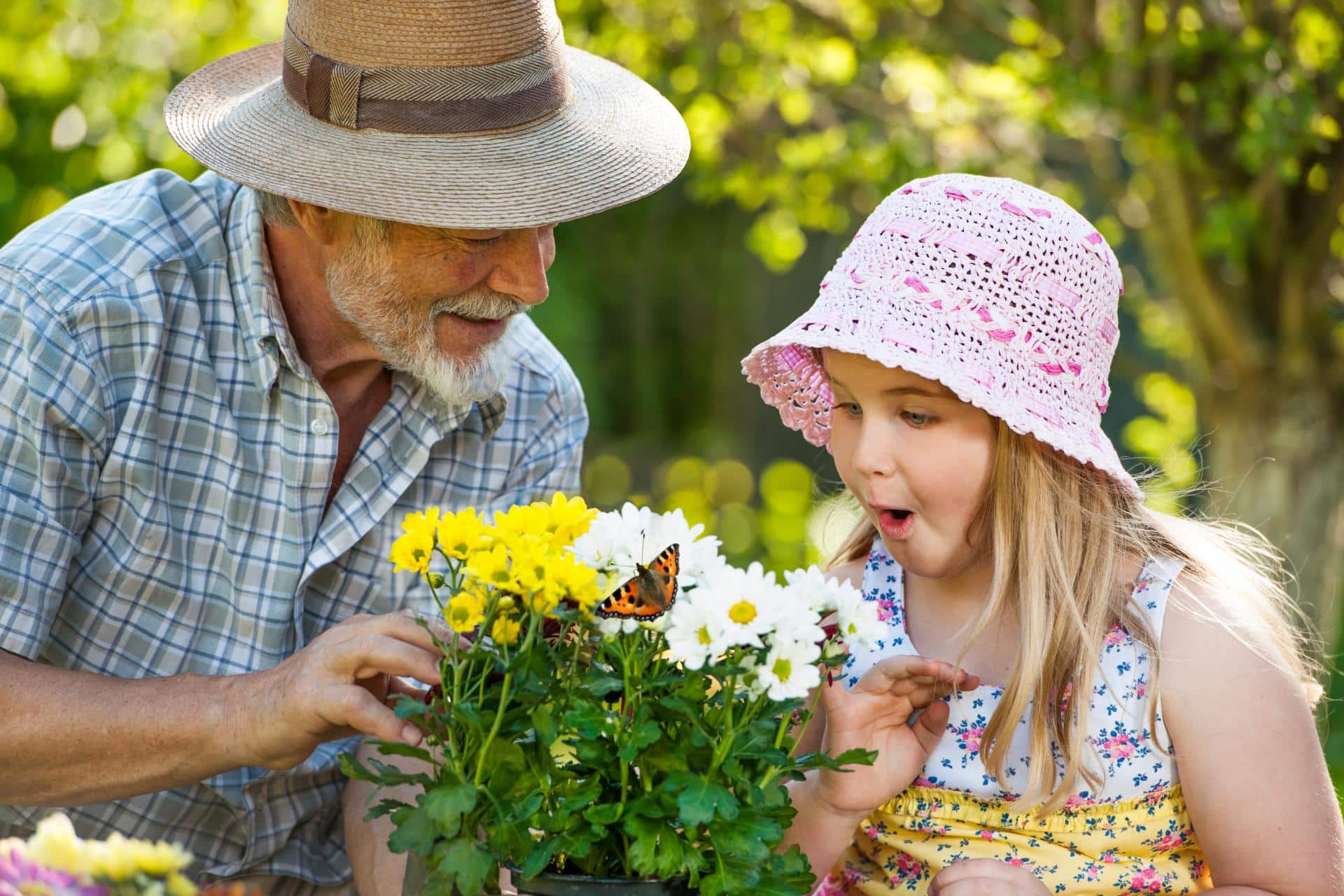 pollinator garden plants
