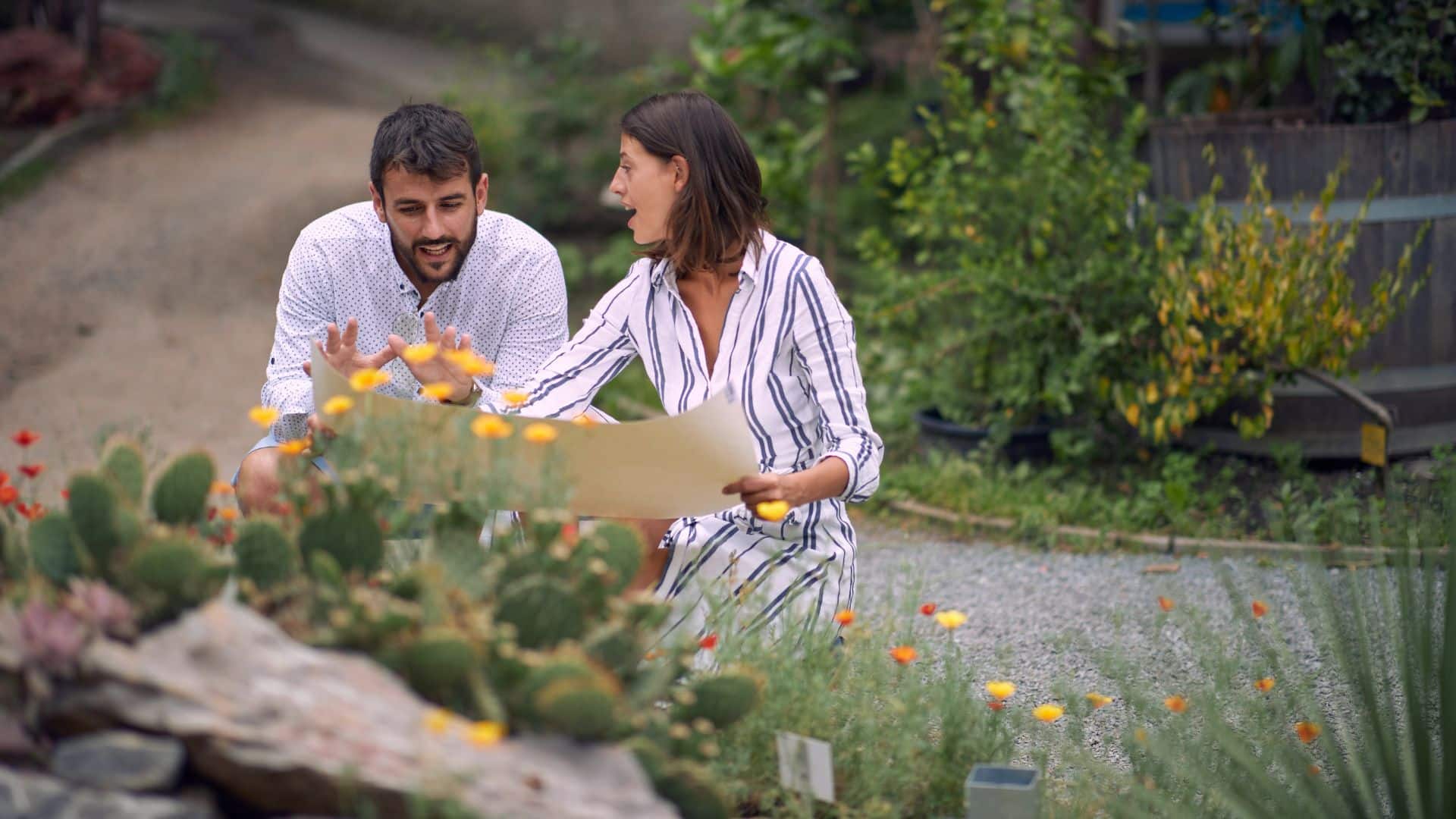 garden pergola ideas