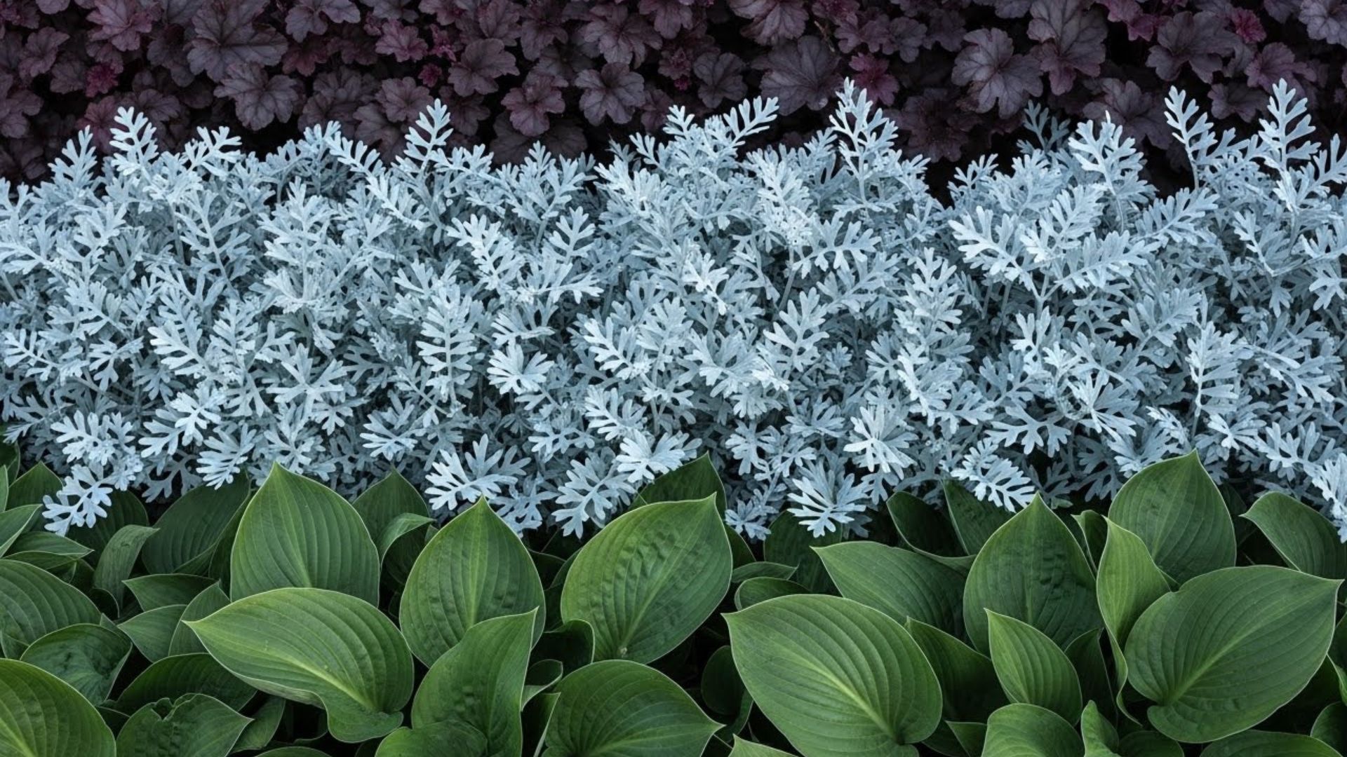 flowering plants for shade