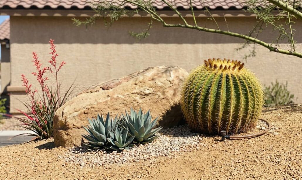 xeriscape landscaping ideas for Henderson