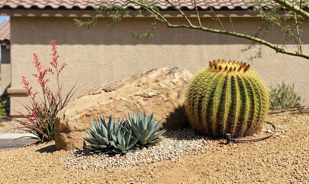 Xeriscape Landscaping ideas using mulch and decorative rock