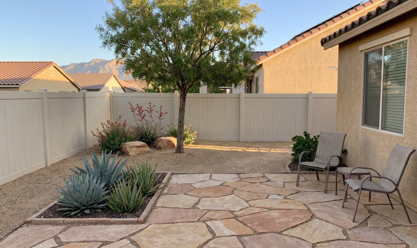 Xeriscape landscaping ideas with drought-tolerant plants in Las Vegas