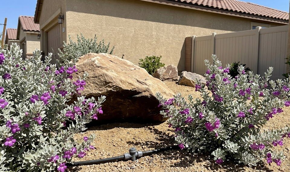 rock landscaping Ideas for Las Vegas, NV