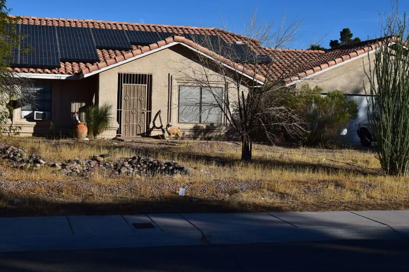 Professional water line repair service in Las Vegas