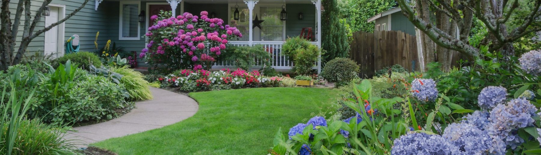 landscaping around trees