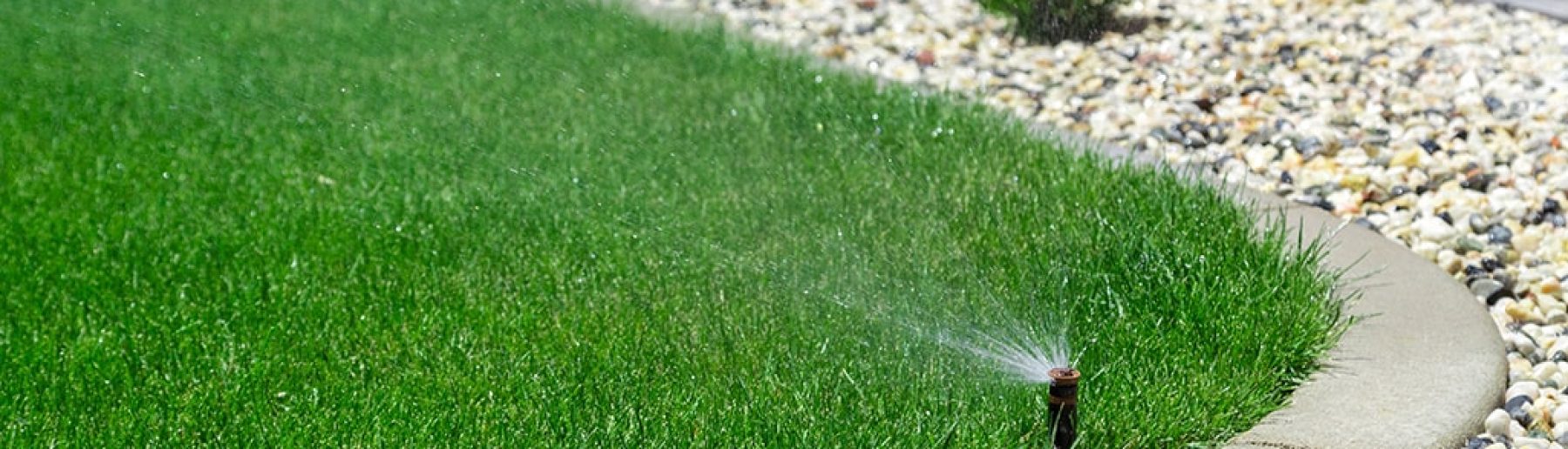 Sprinklers watering grass