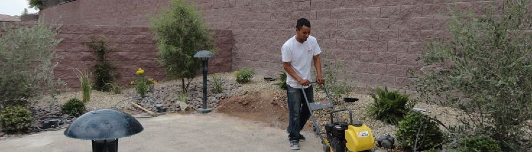 cacti bad landscapers