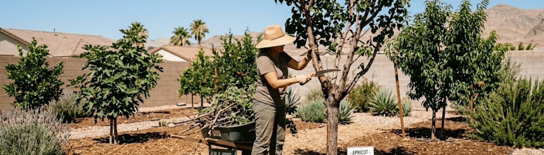 fruit tree care in Las Vegas