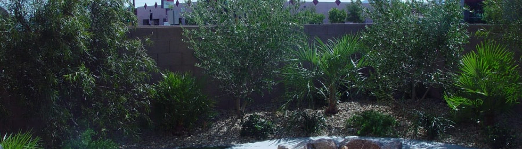 vegas-backyard-landscaping